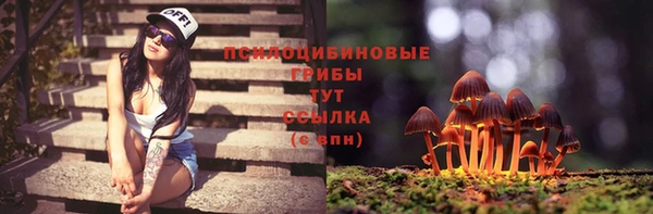PSILOCYBIN Абаза