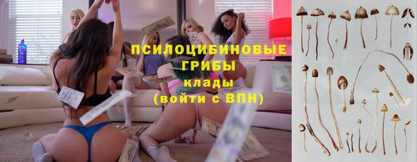 мяу мяу мука Алексин